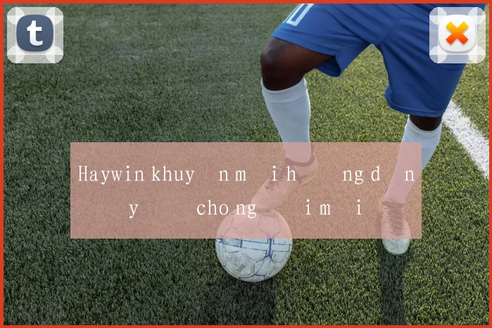 Haywin khuyến mãi hướng dẫn đầy đủ cho người mới
