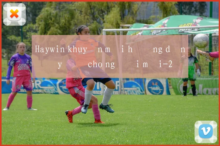 Haywin khuyến mãi hướng dẫn đầy đủ cho người mới
